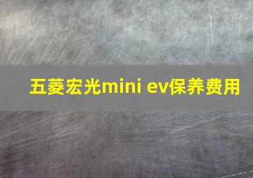 五菱宏光mini ev保养费用